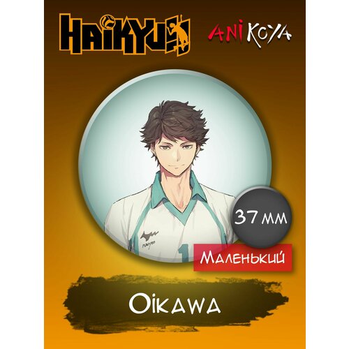 Значок AniKoya 7 9 дюймов haikyuu плюшевые игрушки kawaii toru oikawa hinata shoyo kageyama tooru милые мягкие набивные куклы прямая поставка