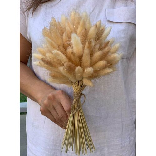 Букет из сухоцветов лагурус 27 см х 100шт.