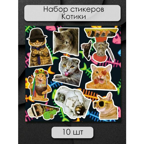 Стикеры наклейки на телефон - Милые мемные животные, котики