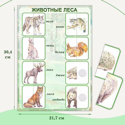 Развивающее пособие «Животные леса»: половинки на липучках.