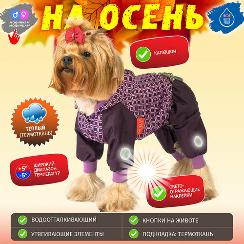 Комбинезон для собак мелких и средних пород Happy Puppy Орнамент