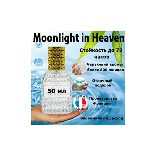Масляные духи Moonlight in Heaven, унисекс, 50 мл. смесь zackroma с розовым перцем и фундуком 50 г