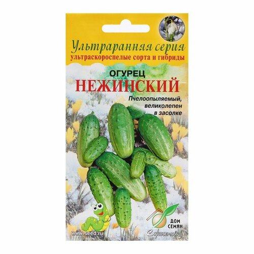 Семена Огурец Нежинский, 10 шт 3 шт