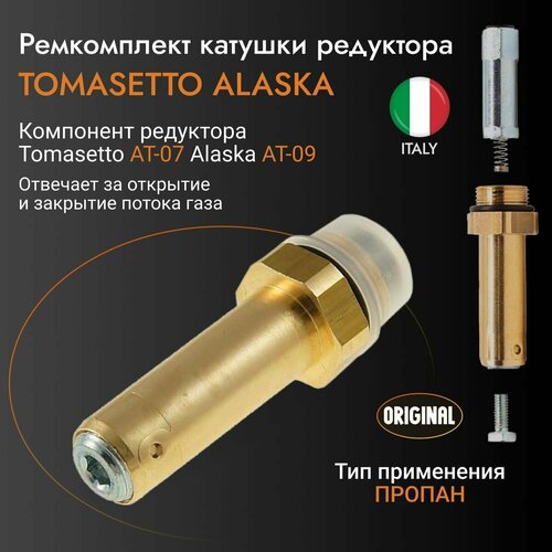 Шток к газового клапана ГБО Tomasetto (Сердечник)/Механическая часть ГБО редуктора Tomasetto мультиклапан гбо tomasetto 200 204 30 тор с электромагнитным клапаном евро