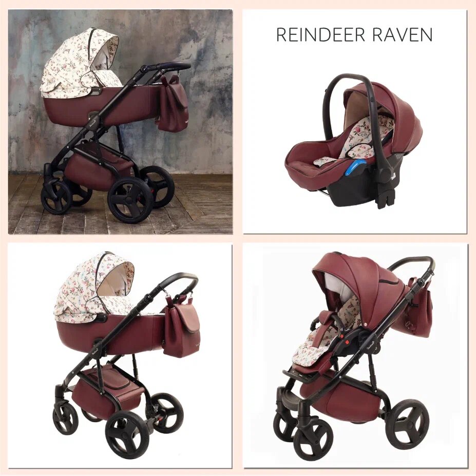   Reindeer Raven  + RV11, 31 + +, 