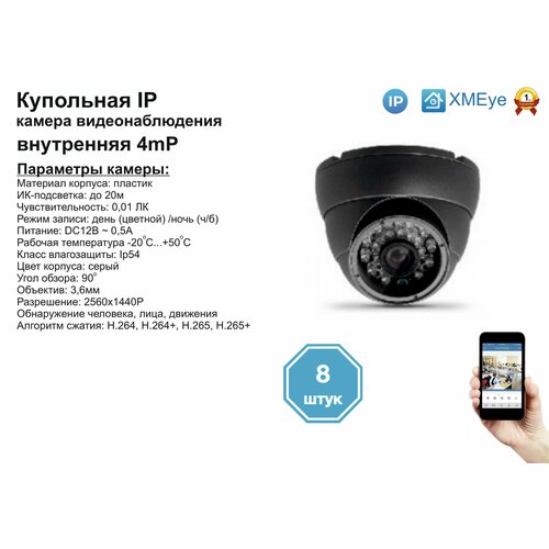 8шт DVS300IP4MP Внутренняя IP камера 4мП с ИК до 20м 1710000₽