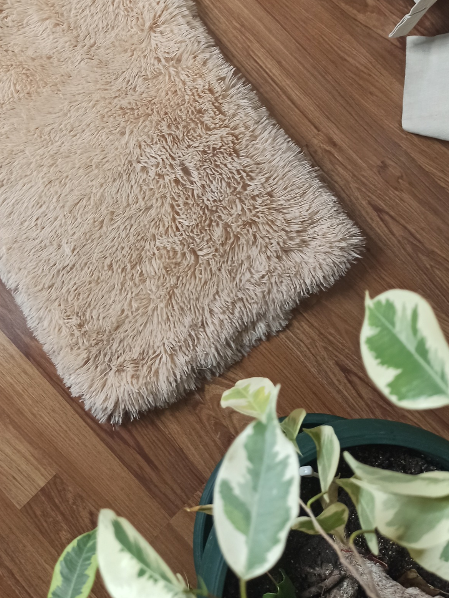 Лежанка-коврик подстилка для животных с кошачьей мятой, цвет бежевый - фотография № 2