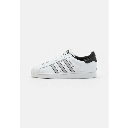 Кроссовки adidas Superstar, размер EU 39 1/3, белый, черный