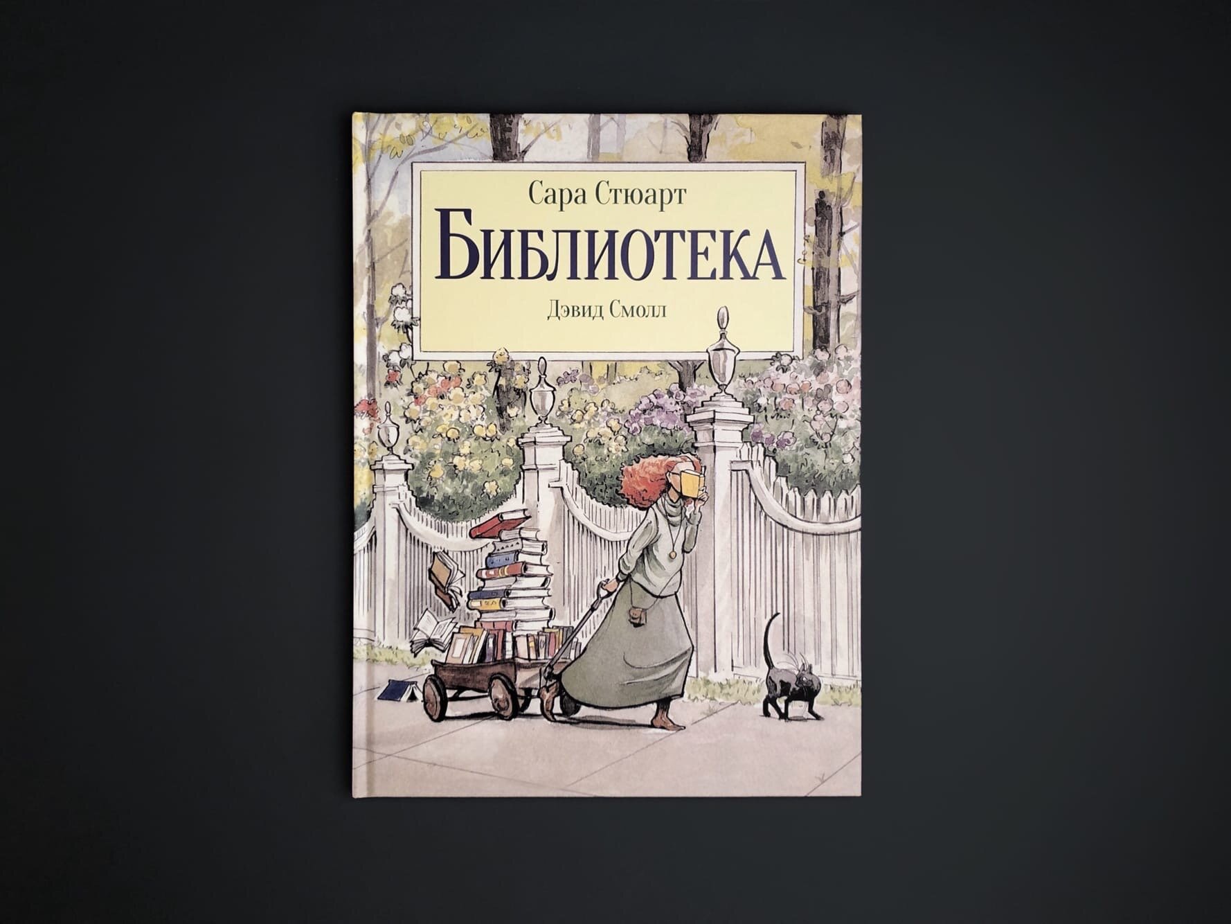 Библиотека (Стюарт Сара) - фото №14