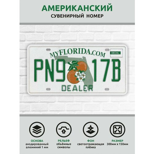 Сувенирный автомобильный номер Америка Япония