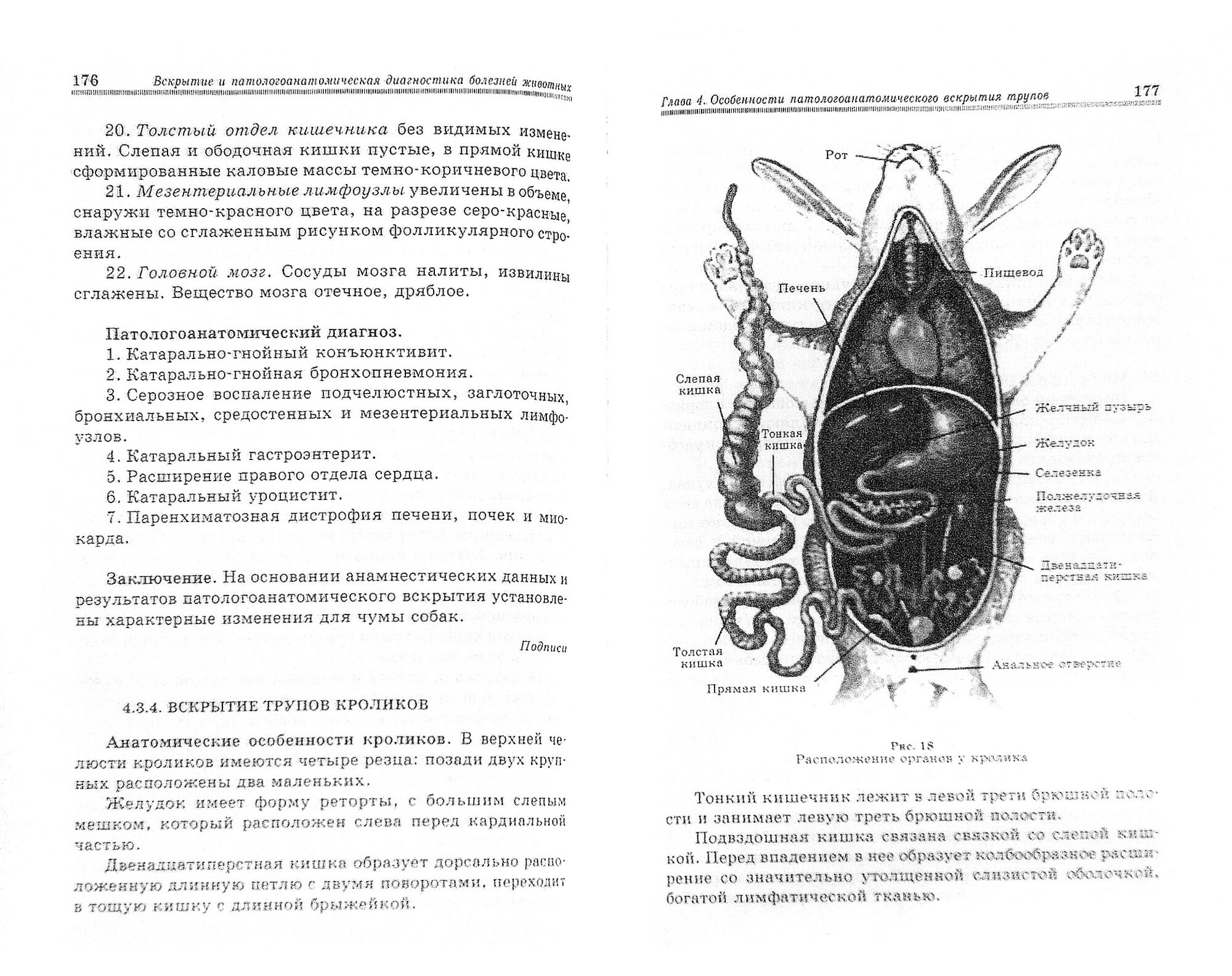 Вскрытие и патологоанатомическая диагностика болезней животных - фото №4