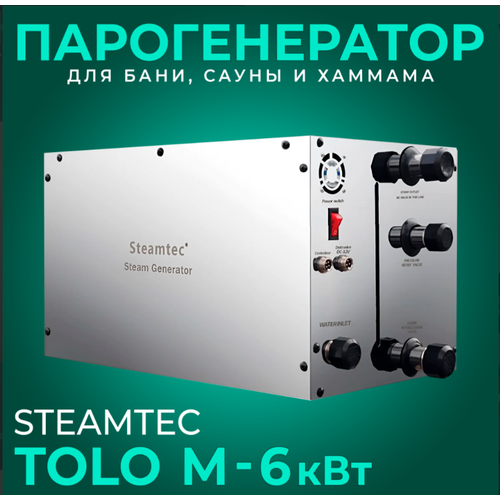 Парогенератор для хамама и турецкой бани Steamtec TOLO-М - 6 кВт 220380В для помещения 5-7м3 с дренажным клапаном в комплекте 6490000₽