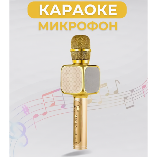 Беспроводной микрофон-караоке Gold 2490₽