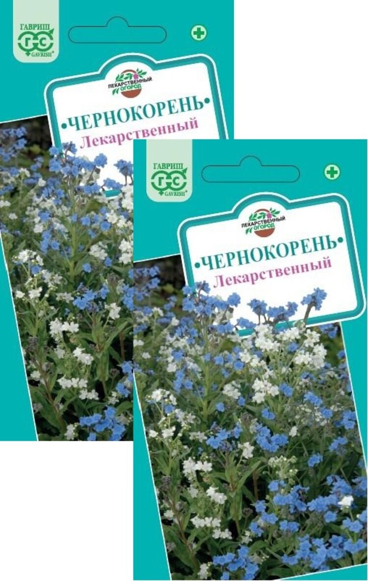Семена Чернокорень Лекарственный (5 семян) 2 пакета Гавриш