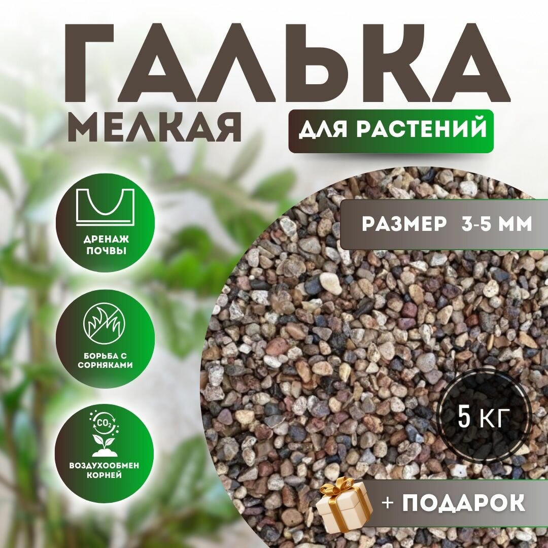 Песок речной для растений крупный - мелкая галька сечка для дренажа и рыхлости почвы 5 кг размер. 3.0-50 мм . Мытый и сухой для отсыпки для ландшафтного дизайна для аквариумов для поделок.