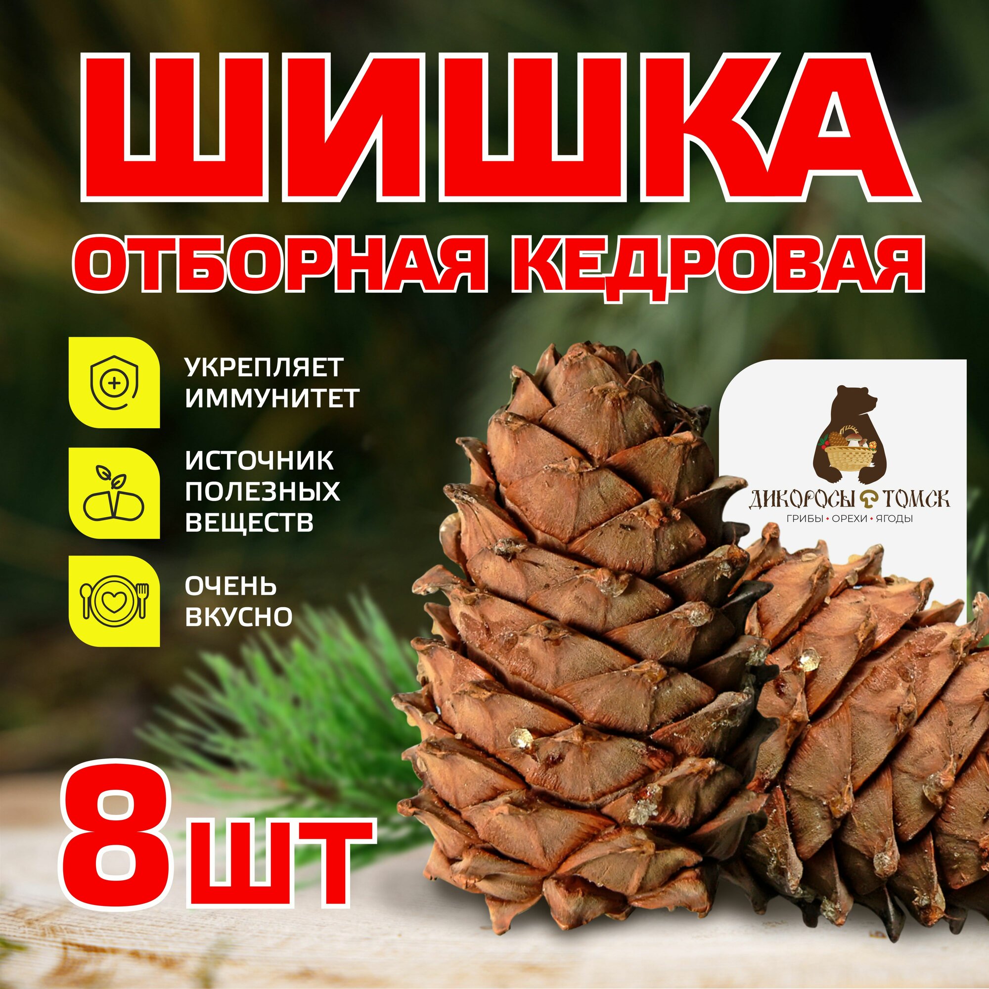 Кедровая шишка...
