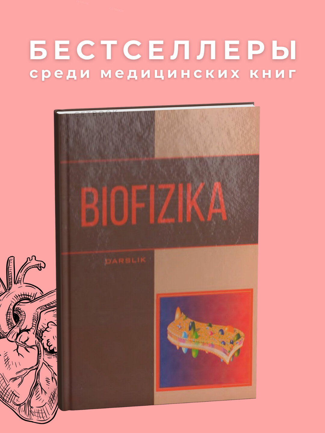 Книга "Биофизика" Базарбаева 2018 г, медицина, мягкий переплет, черно-белые иллюстрации, 200 стр