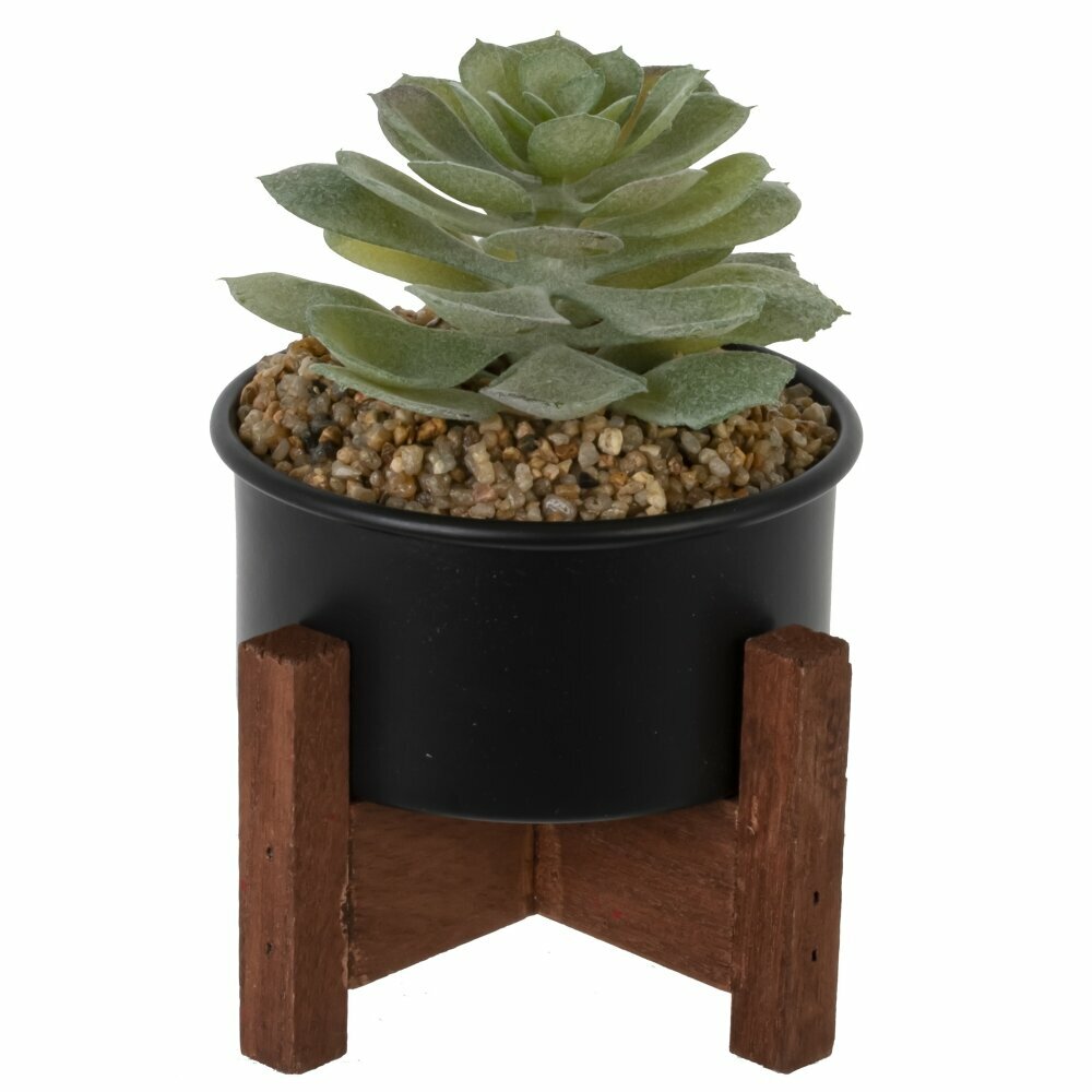 Цветочная композиция 10х10х12 см KSM-789675