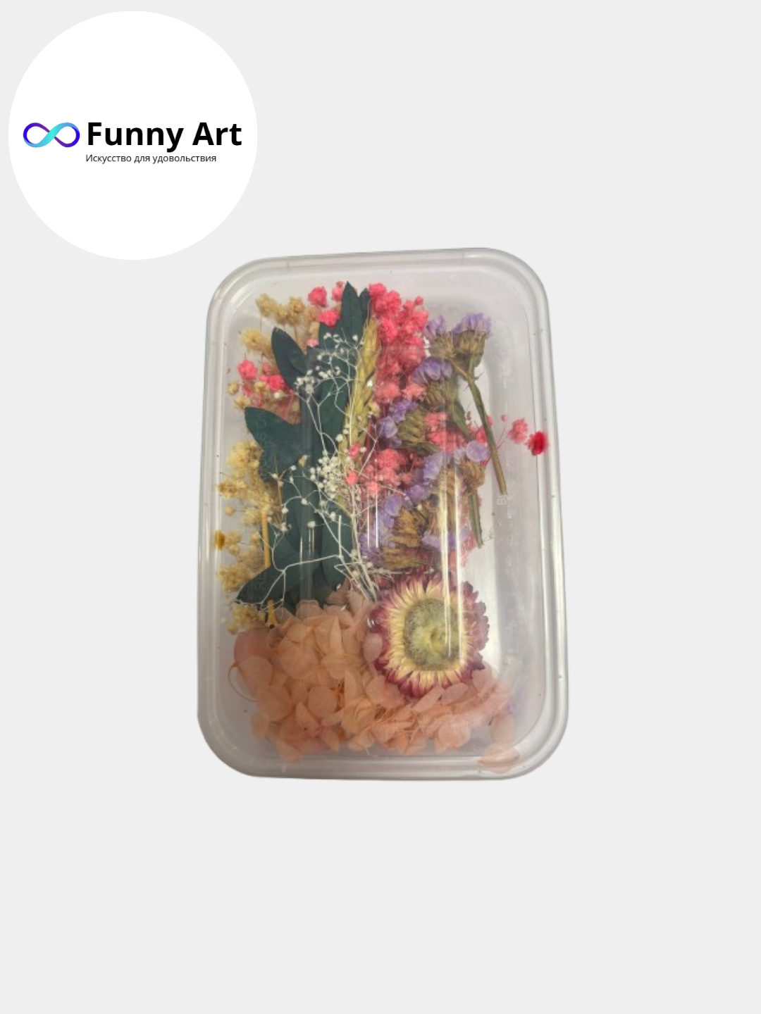 Сухоцветы натуральные для декора и творчества, декоративные цветы, для смолы