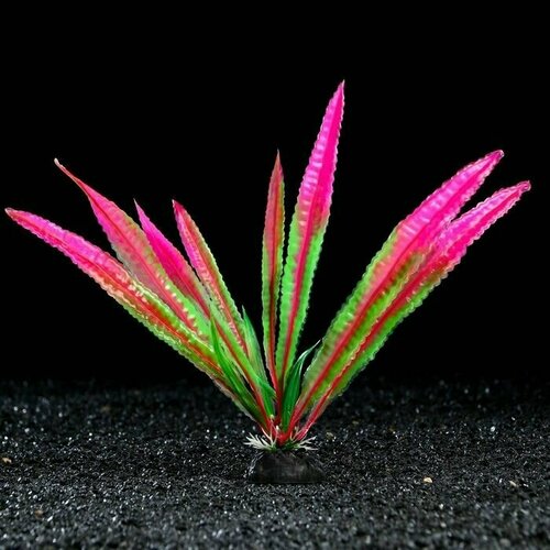 Растение искусственное аквариумное, 4 х 20 см, розовое, 1 шт, 5 шт. декорация для аквариума gloxy хумбола гусар 8 х 6 5 х 6 5 см 1 шт