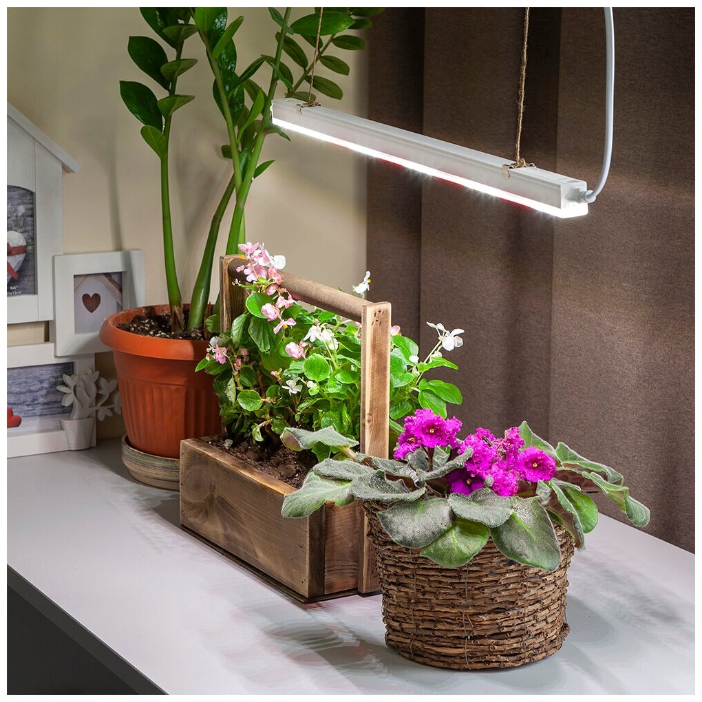 Светильник для растений линейный Эра 9 Вт LED Т5 полный спектр - фотография № 12