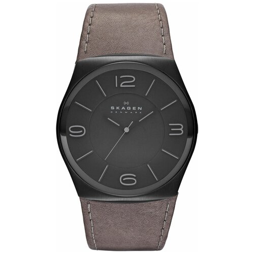 Наручные часы SKAGEN