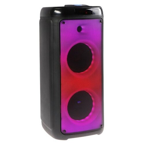 Defender Boomer 60 60Вт LightBTFMUSBAUXMIC 3378000₽