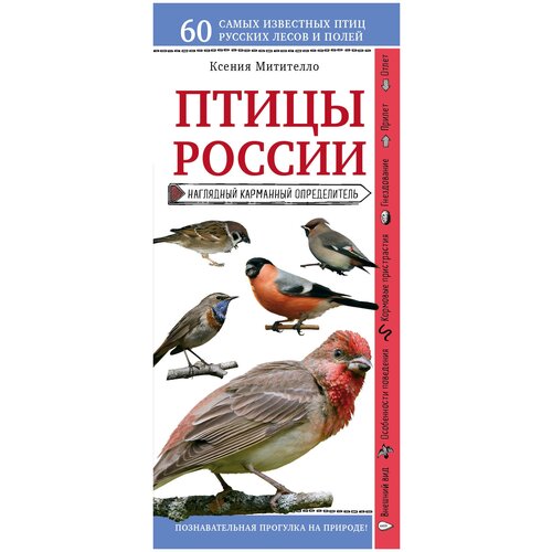 Митителло К.Б. "Птицы России. Наглядный карманный определитель"