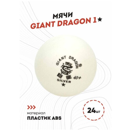 Мячи Dragon Training Silver 1* (24 шт., белые)