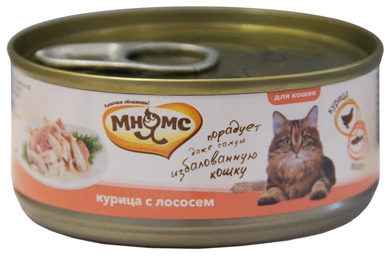 Влажный корм для кошек Мнямс с курицей, с лососем 70 г (кусочки в желе)