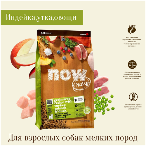 NOW Fresh беззерновой корм для взрослых собак малых пород с индейкой, уткой и овощами