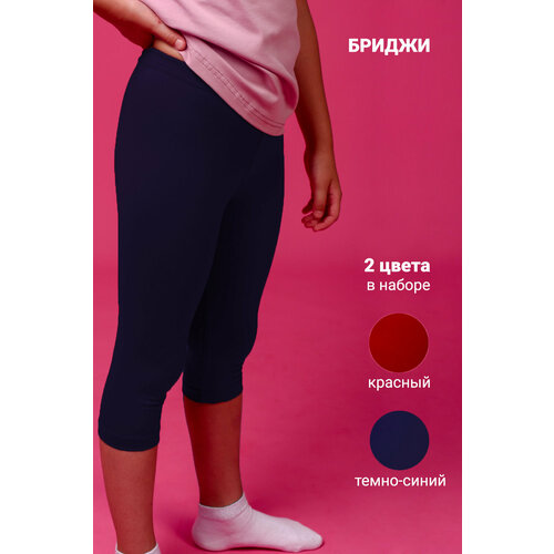 Школьные брюки, комплект из 2 шт., размер 36, синий, красный