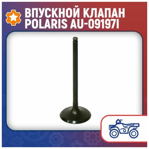 Впускной клапан Polaris AU-09197I