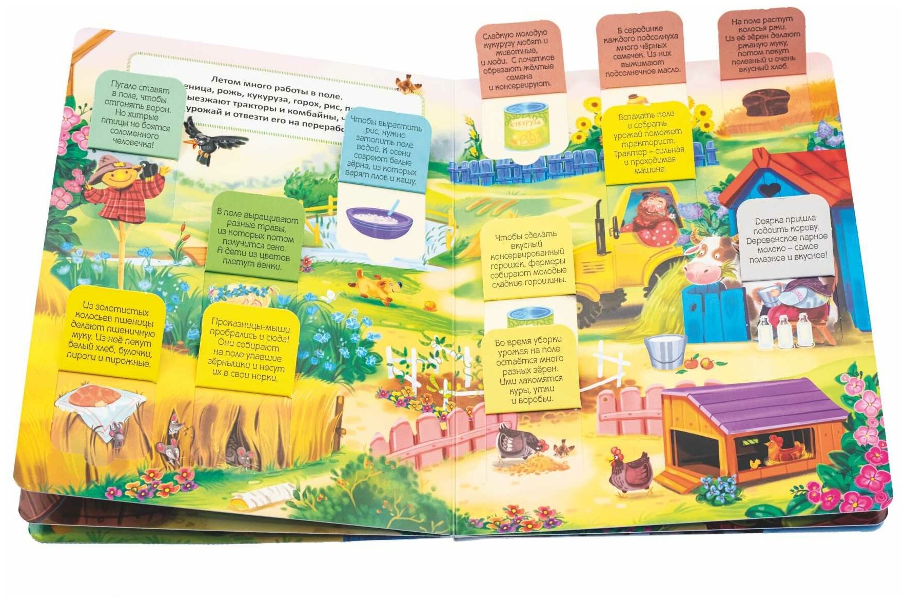 Детская книжка с окошками. КТО живет В деревне? Развивающая книга для детей про животных. Подарок ребенку