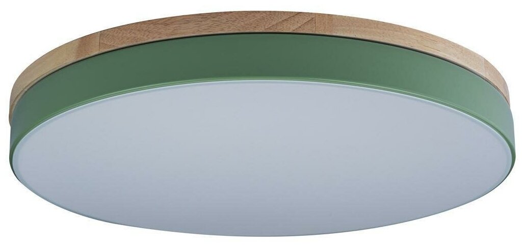 Потолочный светодиодный светильник Loft IT Axel 10001/36 green