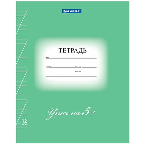 Набор 25 шт. Тетрадь 12 л. BRAUBERG ЭКО «5-КА», косая линия, обложка плотная мелованная бумага, зеленая, 104762