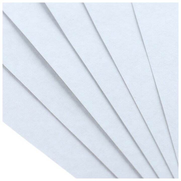 Картон белый А4, 6 листов, 190 г/м2 Calligrata, немелованный на скобе, эконом