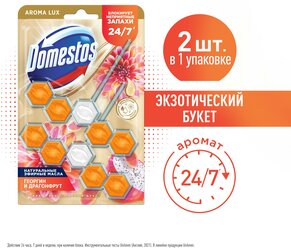 Domestos Aroma Lux, арома блок для очищения унитаза, Экзотический букет, 2 х 50 гр