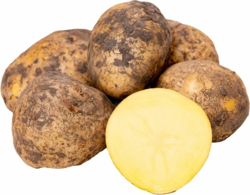 Картофель вес до 2 кг, 2 кг