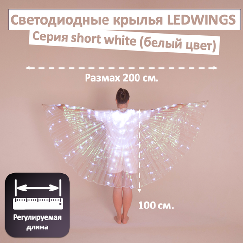 фото Светодиодные крылья ledwings для танца multicolored
