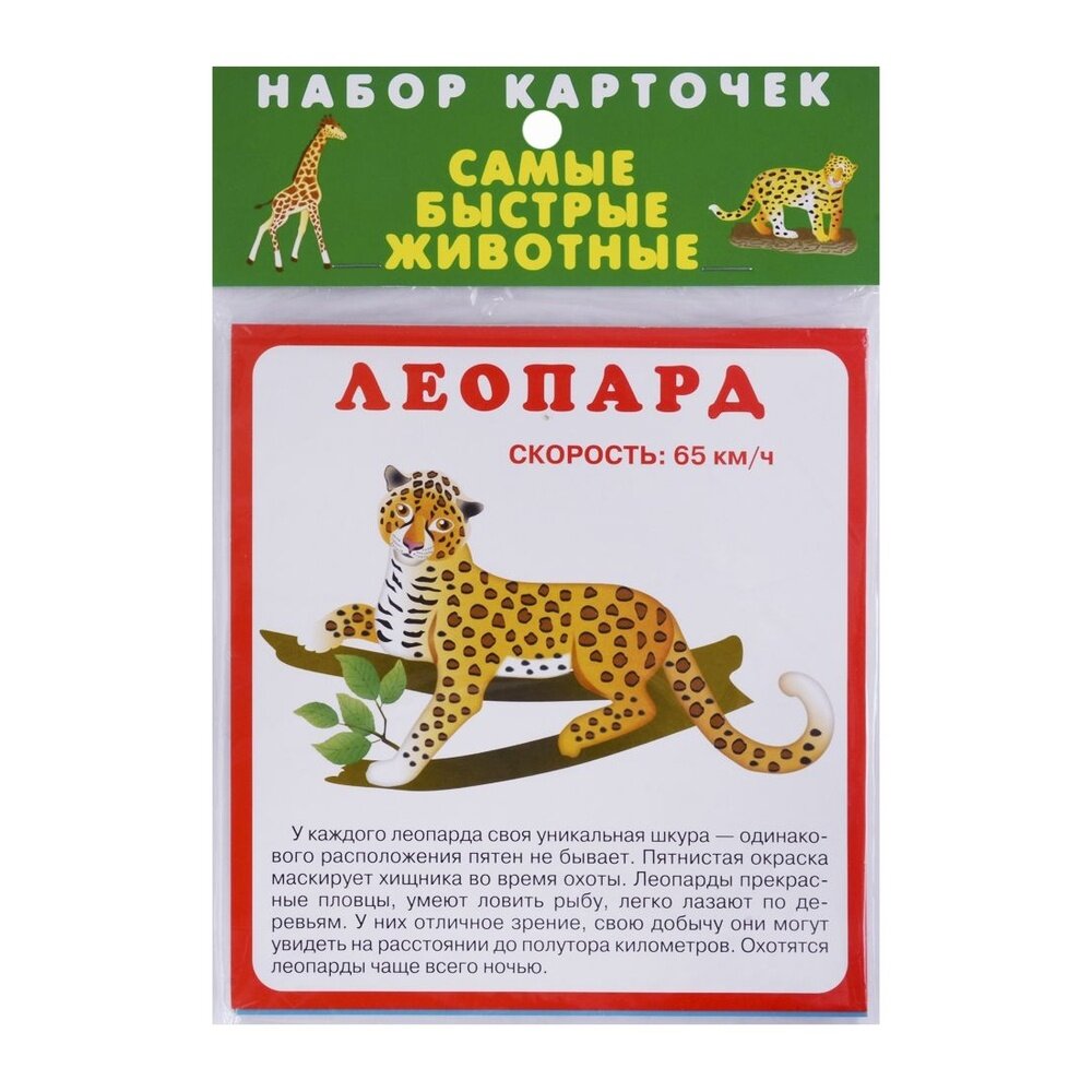 Набор карточек Самые быстрые животные - фото №2