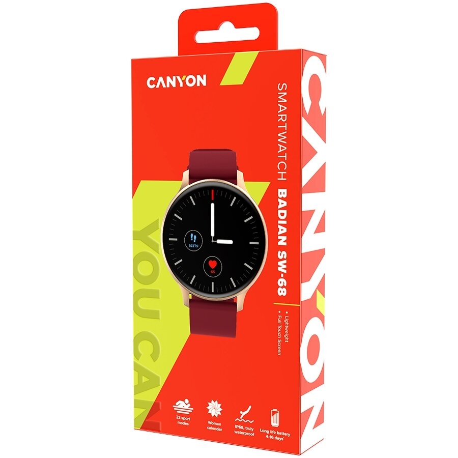 Умные часы CANYON Badian SW-68 CNS-SW68SS серебряный - фото №11