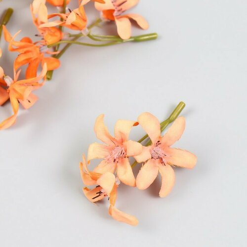 Цветы для декорирования Лилейник персиковый 8,5 см(5 шт.) цветы искусственные магнолия 5х56 см персиковый