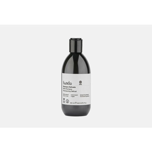 Деликатный шампунь для волос Mild Shampoo