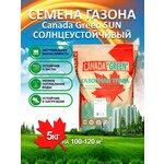 Газонная трава семена Канада Грин Солнечный SUN 5 кг/ райграс, мятлик, овсяница семена - изображение