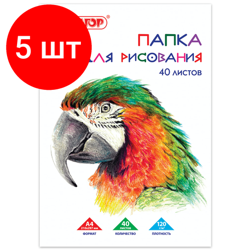 Комплект 5 шт, Папка для рисования, А4, 40 л, 120 г/м2, пифагор, 210х297 мм, Попугай, 129222