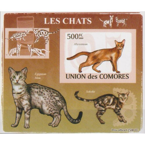 Почтовые марки Коморы 2009г. Породы кошек - Абиссинская кошка люкс блок Кошки MNH