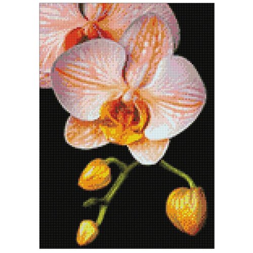 фото Гранни набор алмазной вышивки изящная орхидея (ag281) 27х38 см