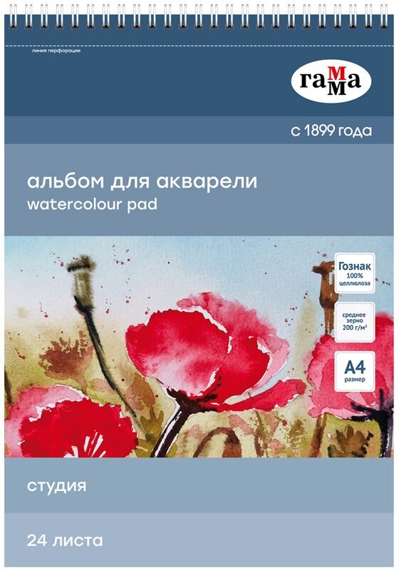 Альбом для акварели, 24 листа, формат А4, на спирали, плотность 200г/м2, среднее зерно, перфорация на отрыв, Гамма "Студия"