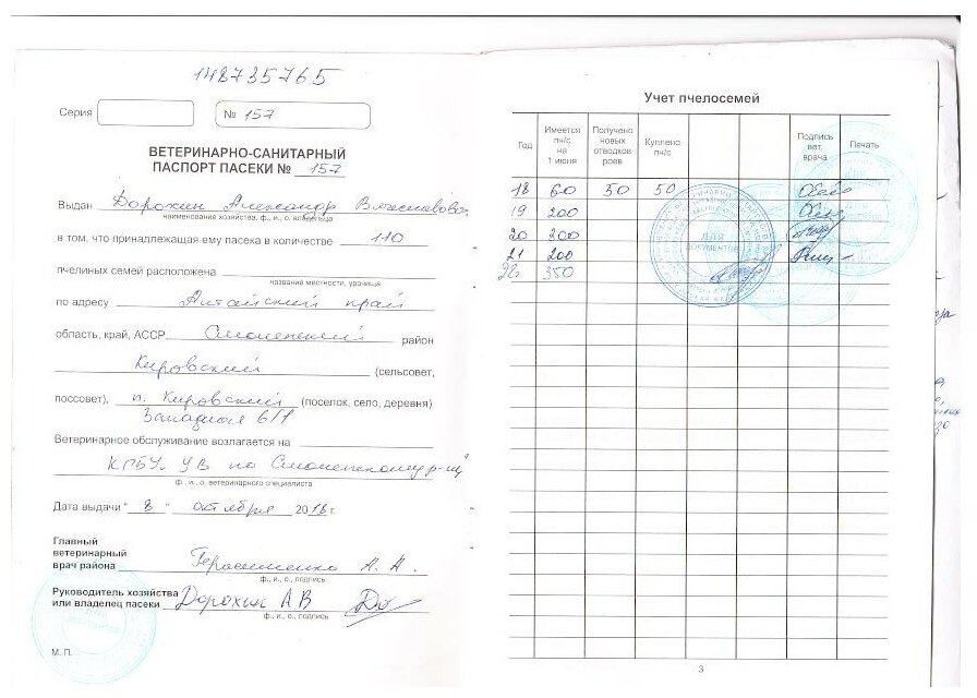 Мёд в сотах, мёд в рамке 1,8-2,2 кг/ Сбор 2023/ Пасека Дорохиных Алтай - фотография № 10